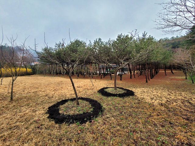 KakaoTalk_20210403_170450766_07.jpg
